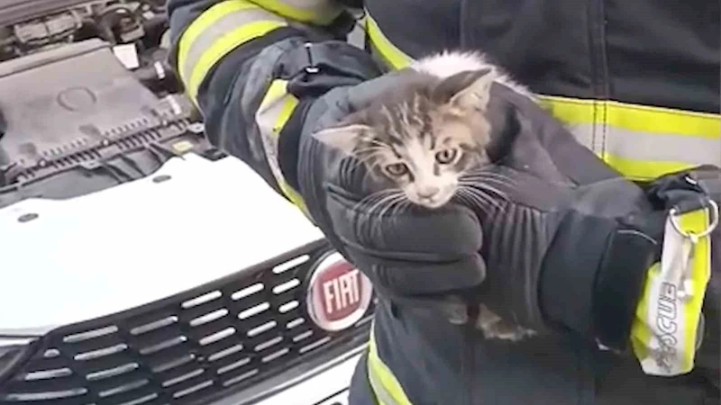 Kırıkkale’de kedi kurtarma operasyonu
