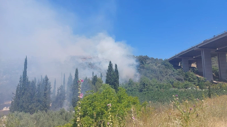 Bursa’da çam ormanı yanıyor
