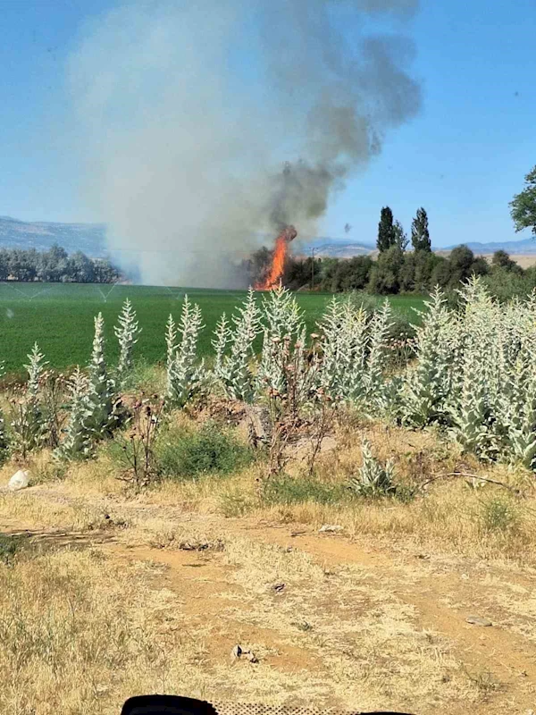 Bingöl’de ağaçlık alanda korkutan yangın
