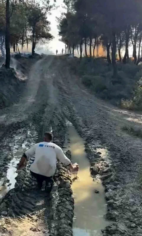 Alevlere elindeki pet şişeyle direndi: O anlar kamerada
