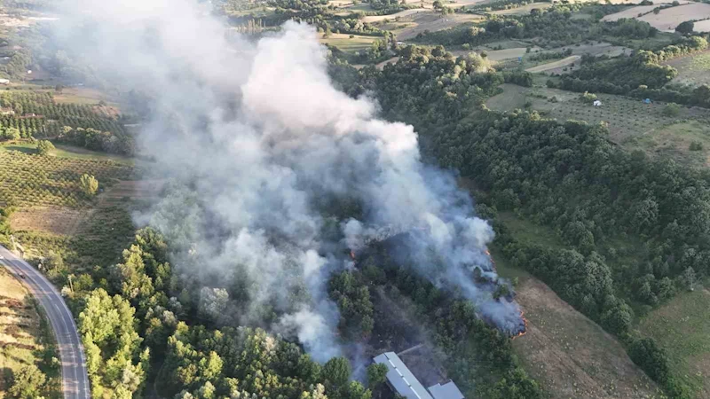 Bursa’da çöplükte çıkan yangın ormana sıçradı
