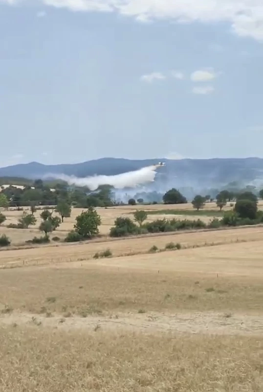 Bayramiç’te tarım arazisinde çıkan yangın kontrol altına alındı
