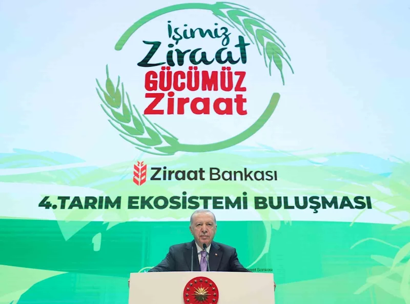 Cumhurbaşkanı Erdoğan’dan muhalefete eleştiri: 
