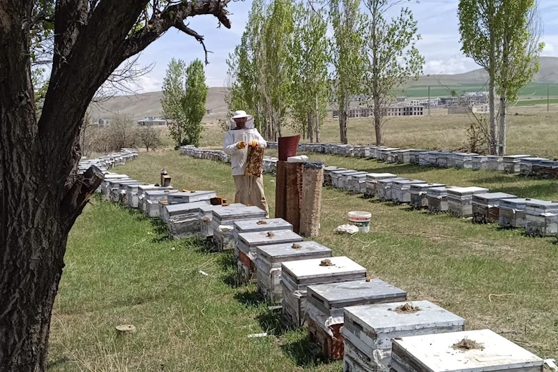 Hakkâri’de kırsala 38 milyon TL hibe desteği

