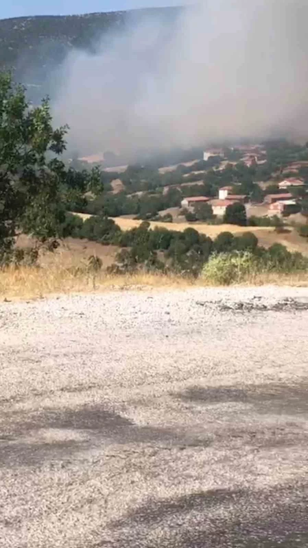 Kepsut’ta orman yangını başladı
