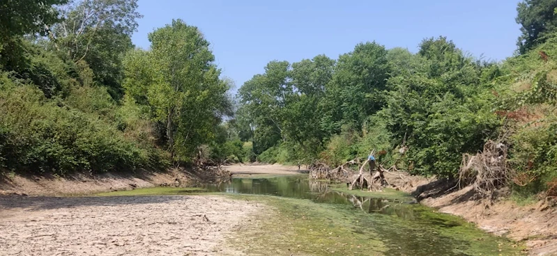 Çanakkale’de kuraklık çayı vurdu, çok sayıda balık öldü
