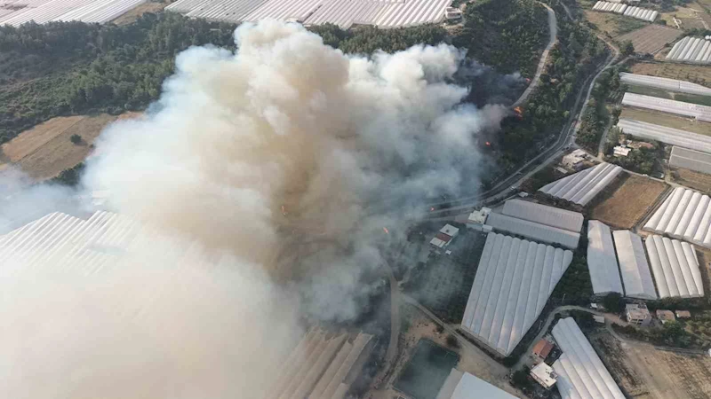 Antalya’da orman yangını
