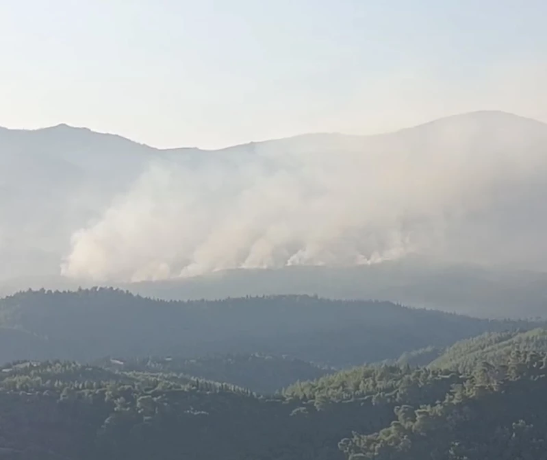 İzmir’de orman yangını sürüyor... Günün aydınlanmasıyla havadan müdahale yeniden başladı
