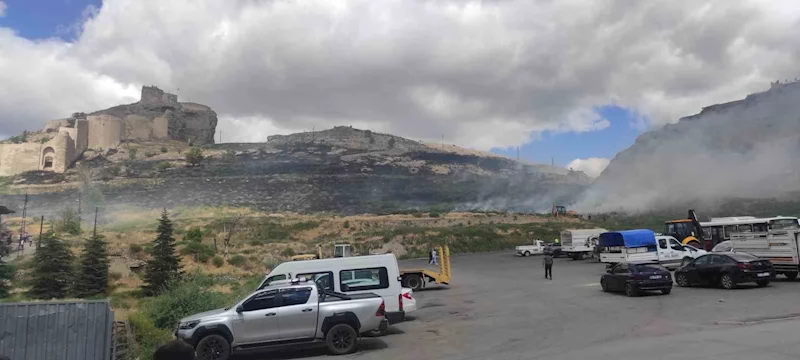 Otluk arazide çıkan yangında Anadolu’nun El-Hamra’sı duman altında kaldı
