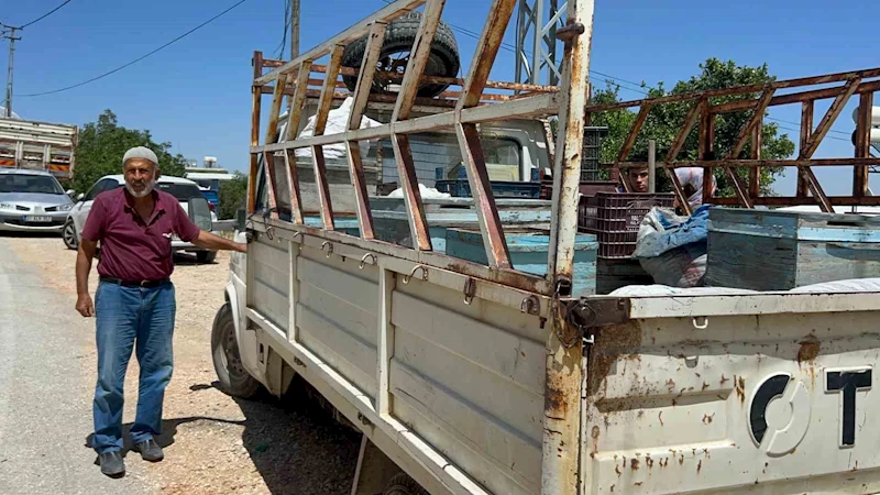 Alevlerin arasına arılarını kurtarmaya geldi
