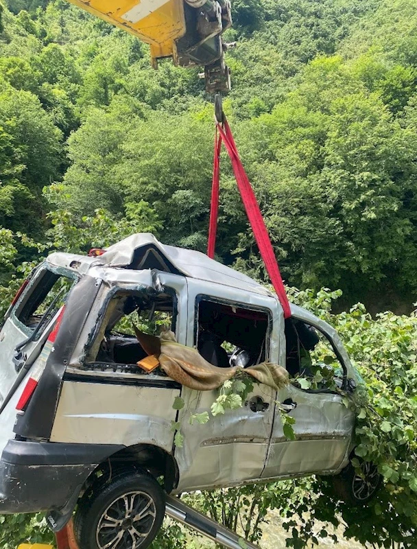 Giresun’da hafif ticari araç dereye uçtu
