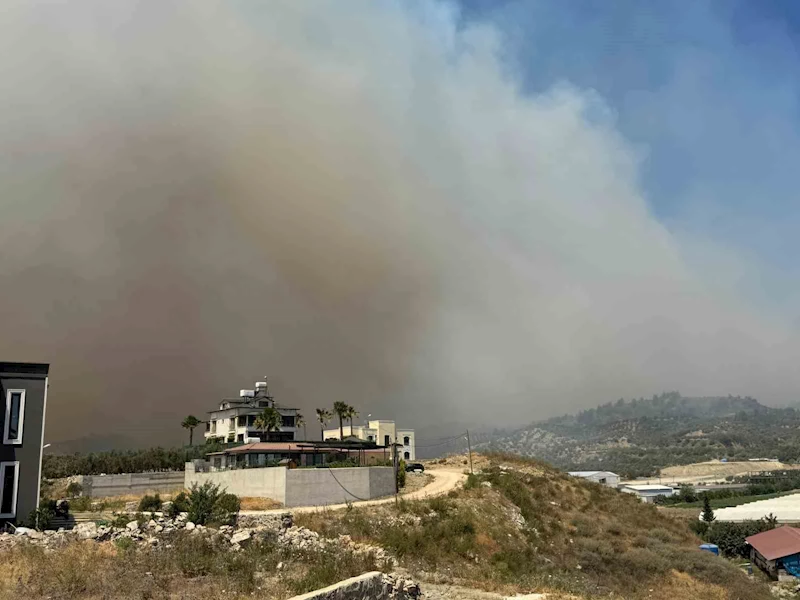 Hatay’da orman yangını
