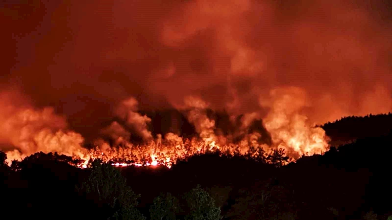 Taraklı’daki orman yangınına ilişkin gözaltına alınanlar serbest bırakıldı
