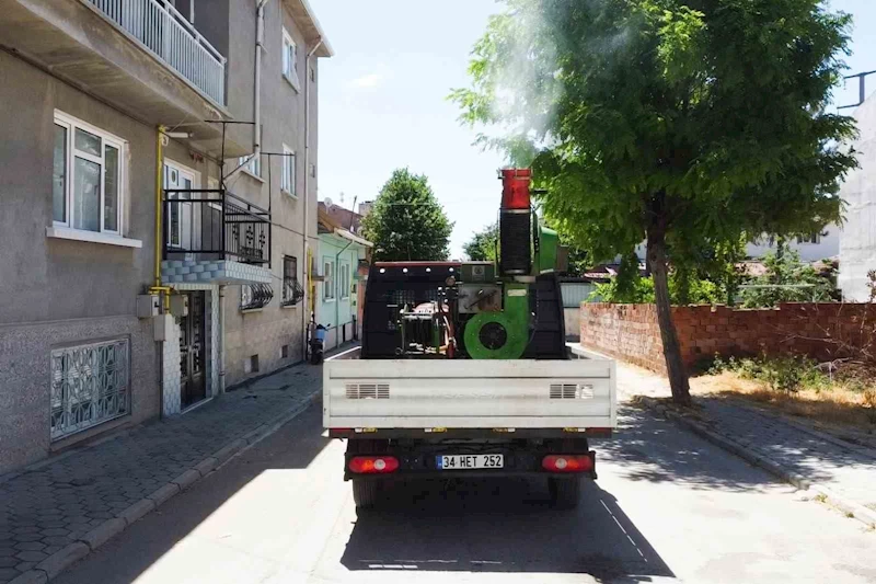 Tepebaşı haşerelere karşı sahada
