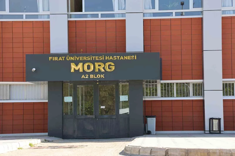 Elazığ’da uçurumdan düşen genç hayatını kaybetti
