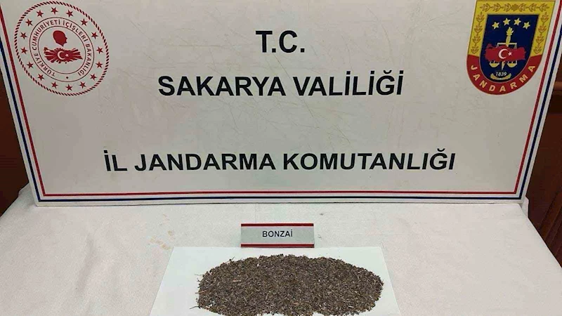 Otoyolda uyuşturucu sevkiyatı jandarmaya takıldı: 1 tutuklama
