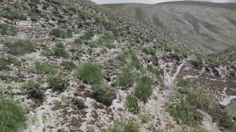 Haziran ayında kar sürprizi: Erek Dağı’nın etekleri beyaza büründü
