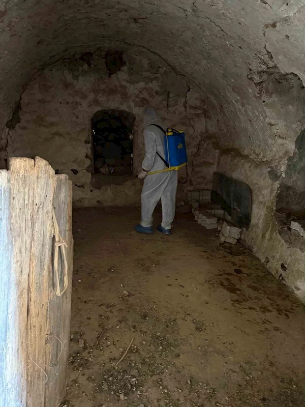Şırnak’ta şap hastalığı tespit edildi bir köy karantinaya alındı
