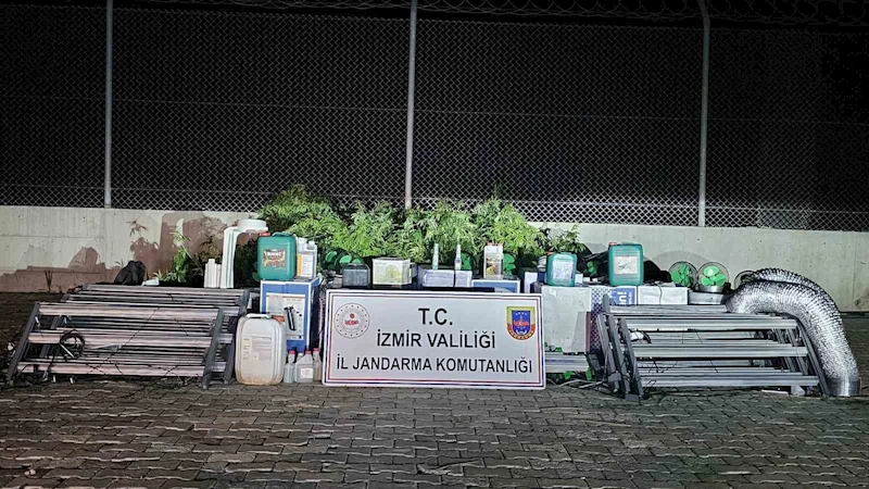 İzmir’de ’skunk’ operasyonu: 183 kök ele geçirildi
