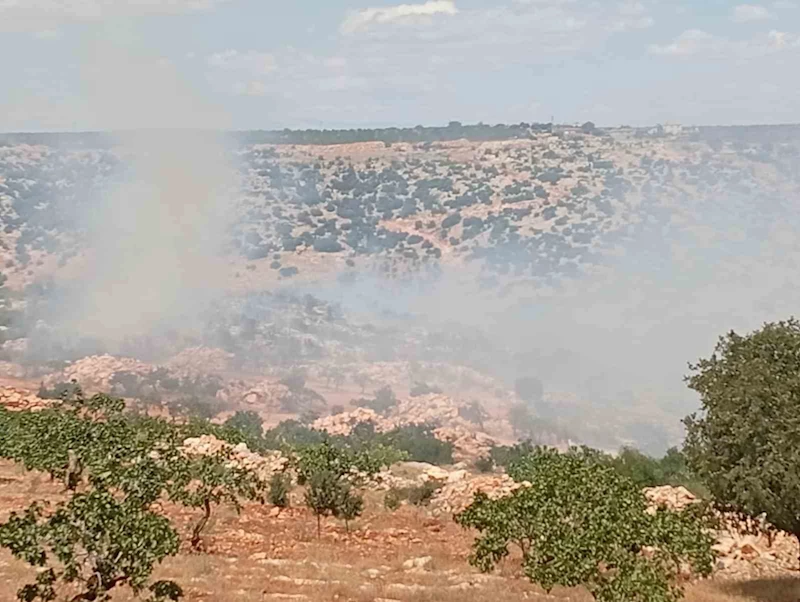 Gaziantep’te fıstık ve zeytin bahçelerinde yangın
