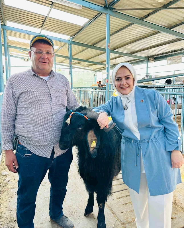 Milletvekili Sema Silkin Ün kurban pazarında yetiştiricileri dinledi

