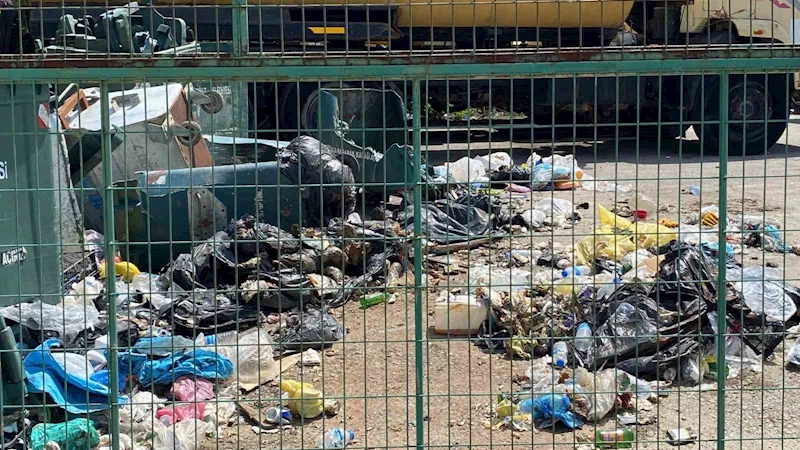 Fıkra değil gerçek
