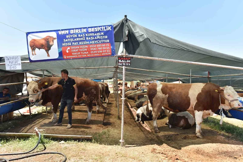Kepez’de 9 noktada kurban kesim alanı
