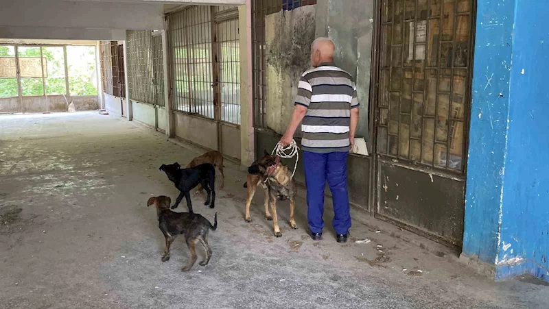 Yaklaşık 2 haftadır depoda mahsur kalan 6 köpek kurtarıldı
