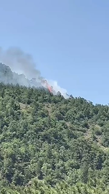 Ankara’da orman yangını çıktı
