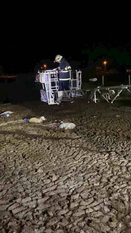 Atık dökülen alanda mahsur kalan koyunu itfaiyeciler kurtardı
