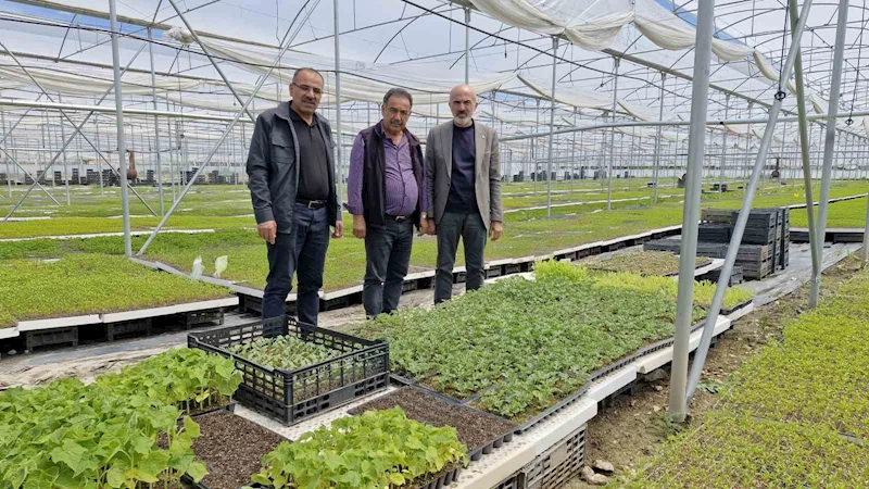 Karaman’da bir çiftçi kurduğu serada 5 milyon fide üretiyor
