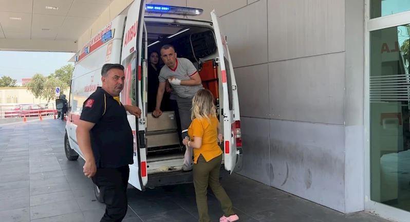 Aydın’ın acemi kasap bilançosu belli oldu

