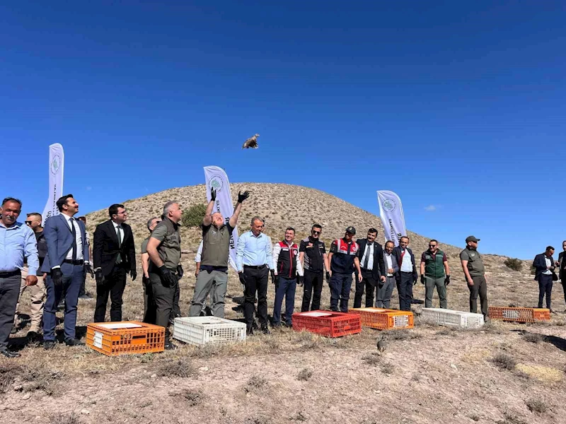 Nevşehir’de kene ile doğal mücadele
