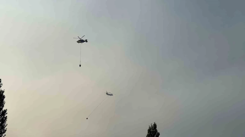 Manisa’nın Ahmetli ilçesindeki orman yangınına müdahale sürüyor
