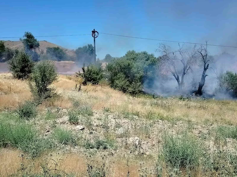 Elazığ’da korkutan yangın: Onlarca dönümlük alan kül oldu
