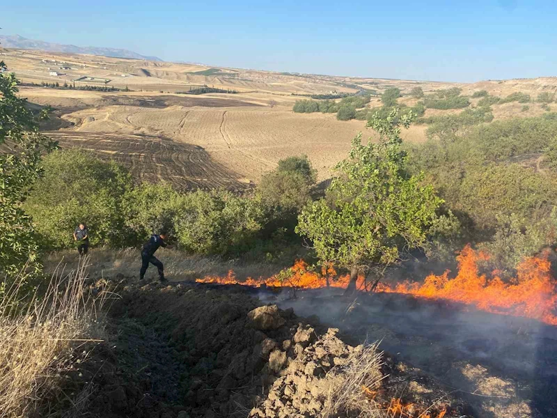 Anız yangını bahçelere sıçradı
