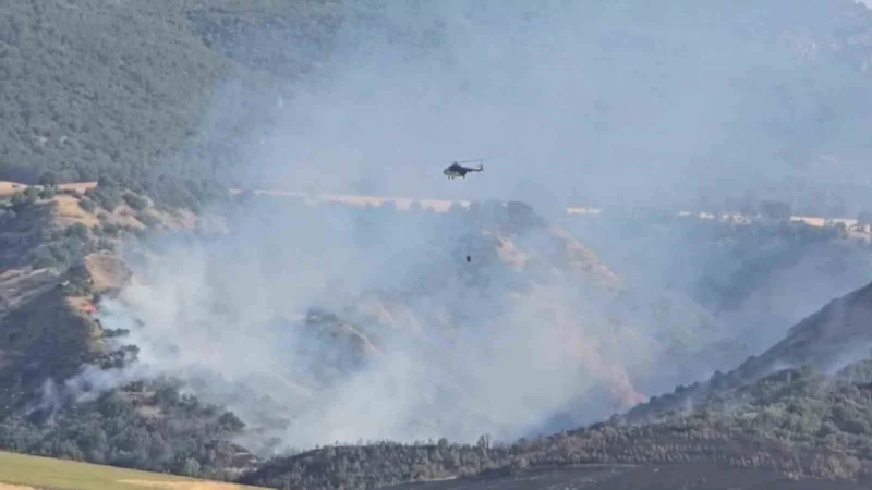 Amasya’da orman yangını: 50 dönüm orman, 150 dönüm tarım arazisi zarar gördü
