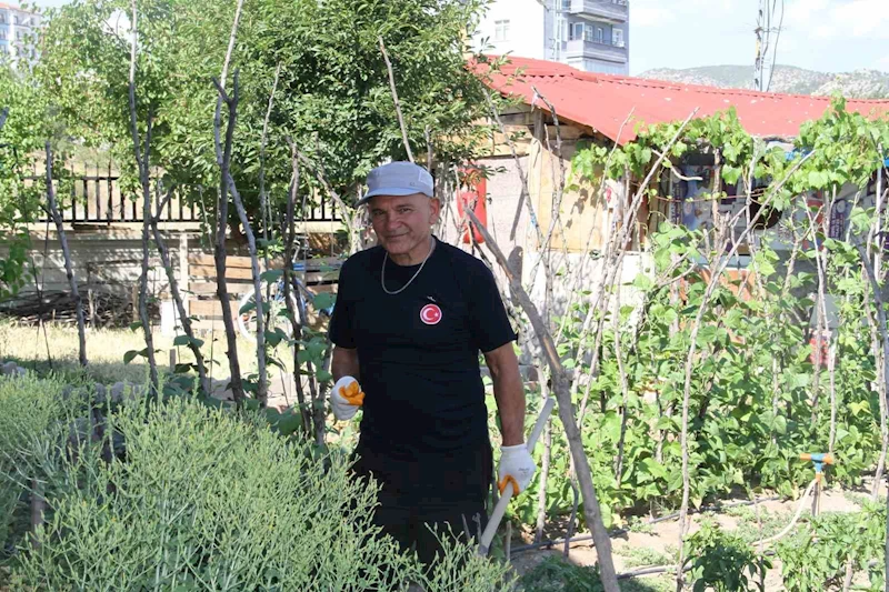 Şehir hayatından sıkıldı, mutluluğu köy hayatında buldu

