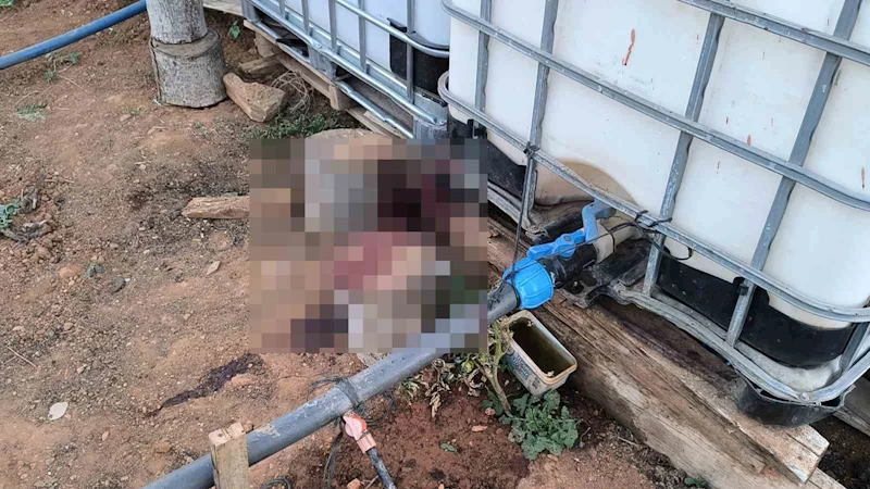 Kırşehir’de bahçe sulama kavgası kanlı bitti: Komşusunu öldürüp, eşini yaraladı
