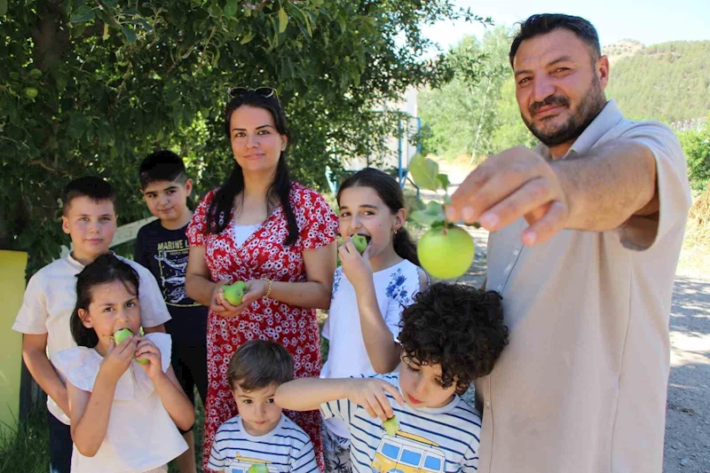 Don felaketinden korunan elmaları satmayıp bahçesine gelenlere ikram ediyor
