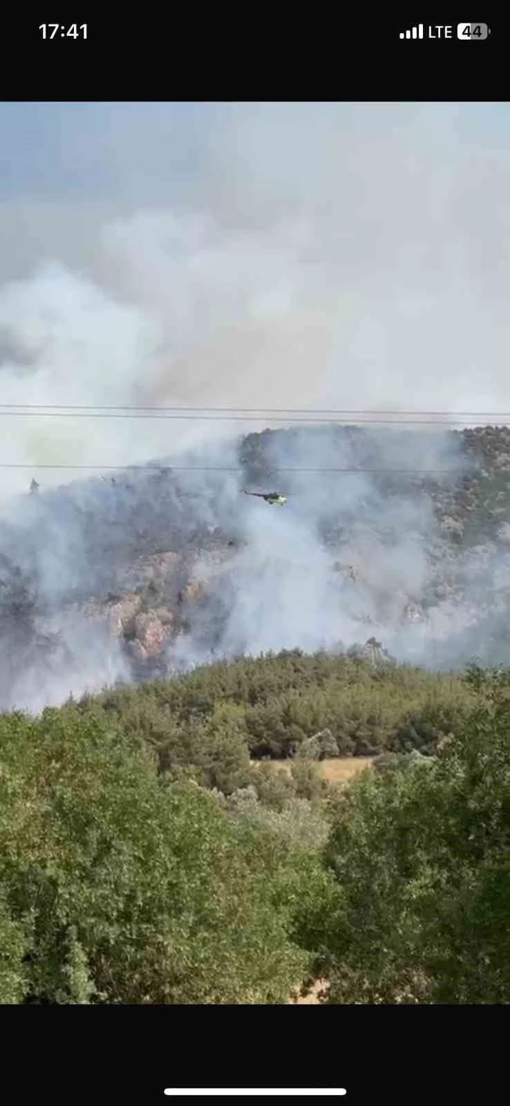 Bilecik’te bir başka orman yangını daha çıktı
