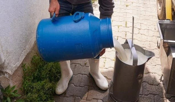 Aydıntepe’de ‘Süt Hijyeni’ kursu açılıyor

