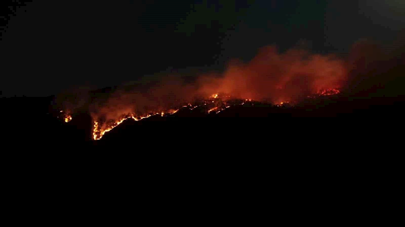 Çankırı’daki orman yangını havadan görüntülendi
