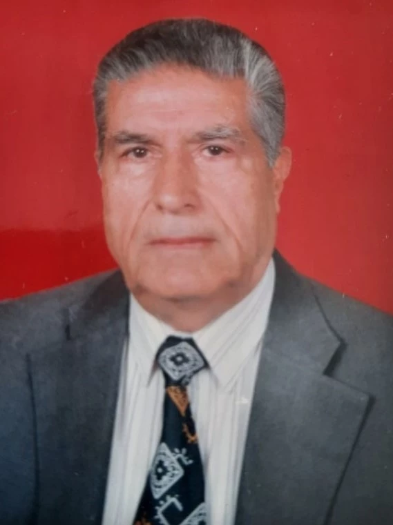 Cumhuriyetle yaşlı çınar hayatını kaybetti
