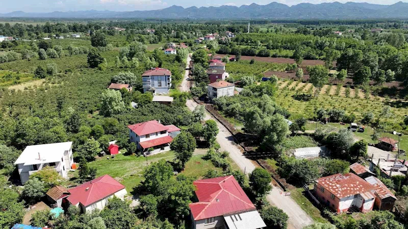 Terme’de doğalgaz ağı genişliyor
