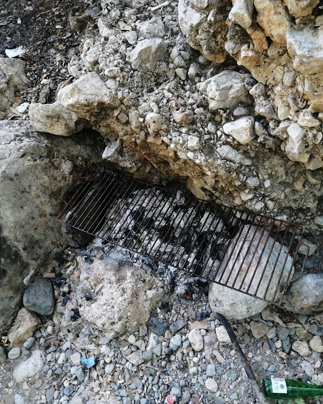 Mersin’de ormanda piknik yapan 5 kişiye ceza
