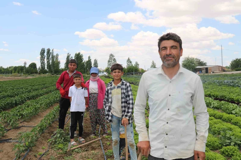 40 dereceyi bulan sıcaklarda mevsimlik işçilerin mücadelesi
