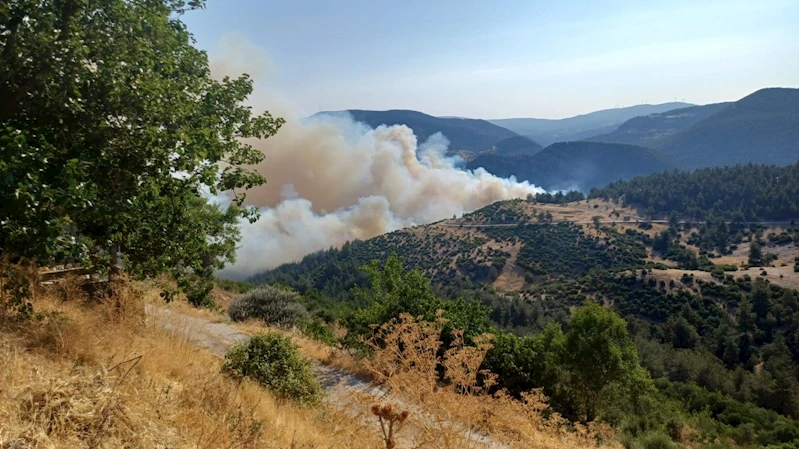 Bursa-Balıkesir sınırında orman yangını
