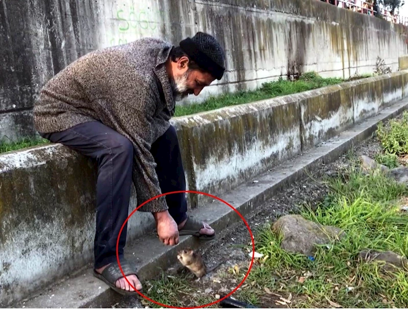 Farelerle dostluğu ile bilinen adam, otobüs durağında ölü bulundu

