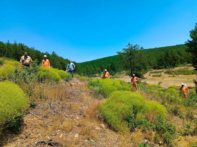 Kütahya’da 34 hükümlü ormanlara katkı sunacak
